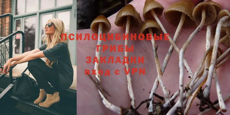 Галлюциногенные грибы Magic Shrooms Абдулино